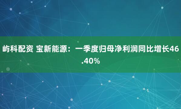 屿科配资 宝新能源：一季度归母净利润同比增长46.40%