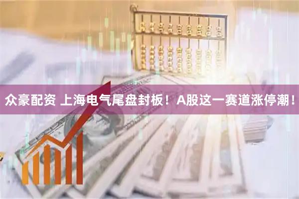 众豪配资 上海电气尾盘封板！A股这一赛道涨停潮！