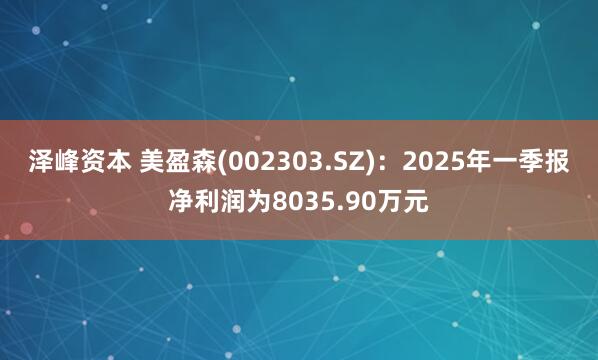 泽峰资本 美盈森(002303.SZ)：2025年一季报净利润为8035.90万元